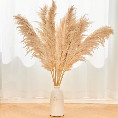 Pampas Grass 7 Various Boho Wedding Home Table Fall Decor Dried Flowers Arrangements White & Natural Dried Pampas Grass, Reed Grass, Bunny Tails Grass(40cm A) in Saudi Arabia