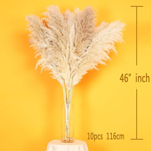 Pampas Grass 7 Various Boho Wedding Home Table Fall Decor Dried Flowers Arrangements White & Natural Dried Pampas Grass, Reed Grass, Bunny Tails Grass(40cm A) in Saudi Arabia