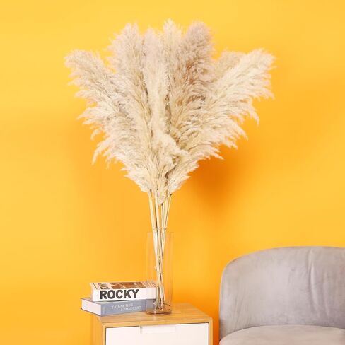 Pampas Grass 7 Various Boho Wedding Home Table Fall Decor Dried Flowers Arrangements White & Natural Dried Pampas Grass, Reed Grass, Bunny Tails Grass(40cm A) in Saudi Arabia