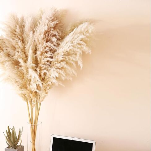 Pampas Grass 7 Various Boho Wedding Home Table Fall Decor Dried Flowers Arrangements White & Natural Dried Pampas Grass, Reed Grass, Bunny Tails Grass(40cm A) in Saudi Arabia