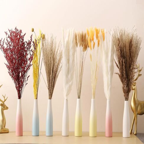 Pampas Grass 7 Various Boho Wedding Home Table Fall Decor Dried Flowers Arrangements White & Natural Dried Pampas Grass, Reed Grass, Bunny Tails Grass(40cm A) in Saudi Arabia