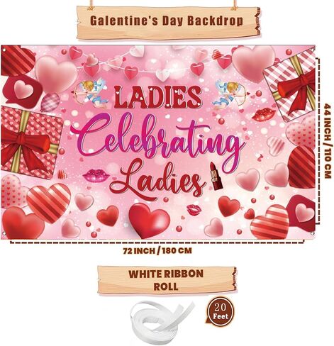 Galentines Day Backdrop, Ladies Celebrating Ladies Theme, Pink Hearts Photography Background,71x43 Inch in Saudi Arabia