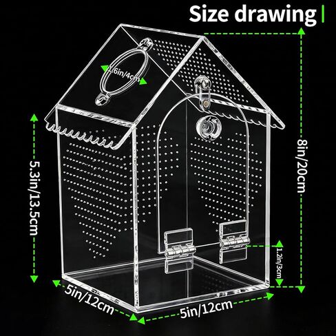Cycodo Jumping Spider Enclosure in Saudi Arabia