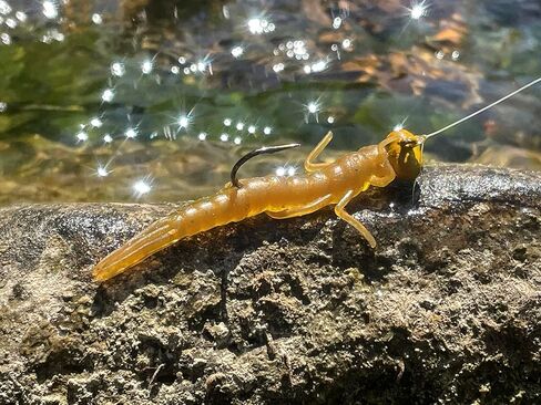 Rebel LIVEFLEX™ Creek Creature من البلاستيك الناعم in Kuwait