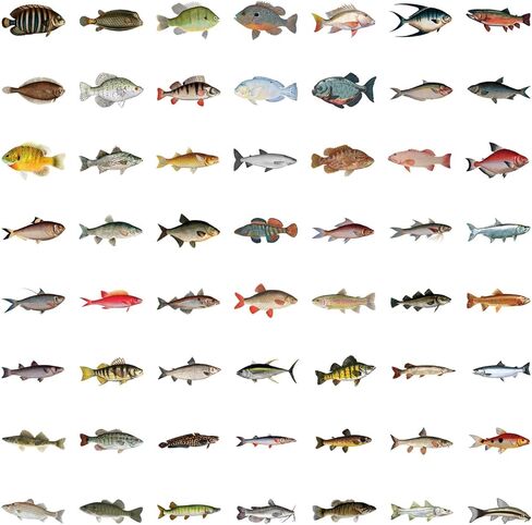 110 Pcs Deep Sea Fish Sticker Pack for Kids Teens, Funny Fish Vinyl Waterproof Stickers and Decals for Water Bottles Laptop Phone Motorcycle Computer Guitar Skateboard in Saudi Arabia