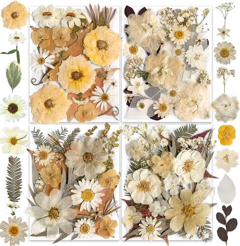 96PCS Vintage White Dried Pressed Flowers for Resin Craft - YouthBro Real Nature Flowers Set with 50 PCS Butterfly Stickers for DIY Scrapbook Art Floral Decors in Kuwait