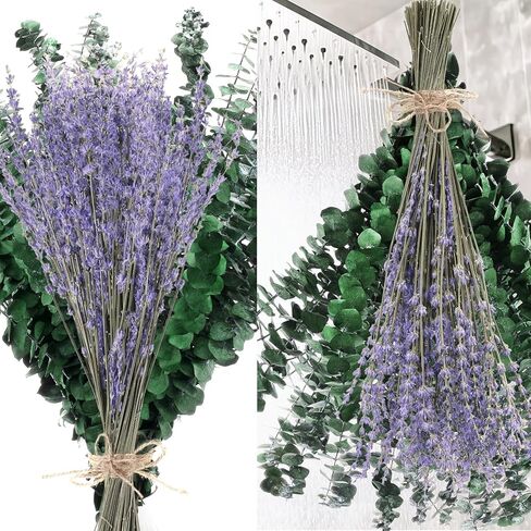 230 PCS DRIED EUCALYPTUS تنبع مع حزمة زهور الخزامى للاستحمام 17 '' NARTAL REAL HALING LIVE EUCALYPTUS LEACHS FRUMSES for Wedding Decor in Saudi Arabia