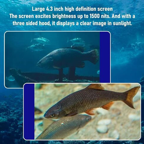كاميرا الصيد تحت الماء PUSOKEI، مكتشف الأسماك تحت الماء مع 5 ميجابكسل 1080 بيكسل HD 195 زاوية واسعة Xamera، شاشة 4.3 بوصة، كابل 164 قدم وحقيبة تخزين، لصيد الأسماك على الجليد in Kuwait