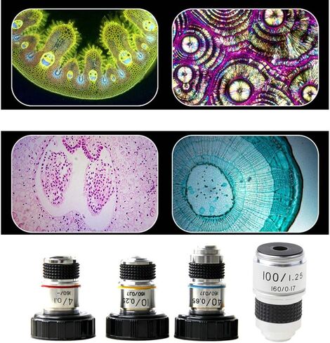 Lab Consumables 10X 40X Microscope Objective Lens Achromatic Objective Microscope Parts Lens Adapter 20.2mm in Saudi Arabia