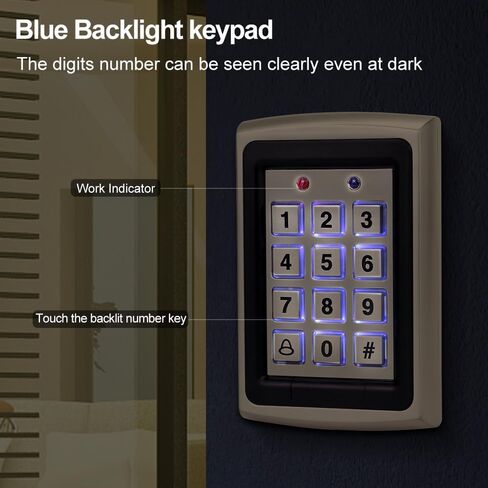125KHz RFID Access Control System Package with Metal keypad Reader + Waterproof Cover + 10 Blue Key fobs, Supports 1000 Users, Suitable for garages, Offices, and Home Doors in Saudi Arabia