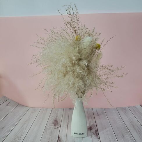 Yardsikefell Dried flower arrangements – Dried Pampas Grass Flower Ornament, Fluffy Bohemian Style Decoration in Saudi Arabia