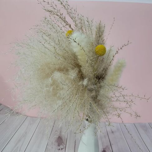 Yardsikefell Dried flower arrangements – Dried Pampas Grass Flower Ornament, Fluffy Bohemian Style Decoration in Saudi Arabia