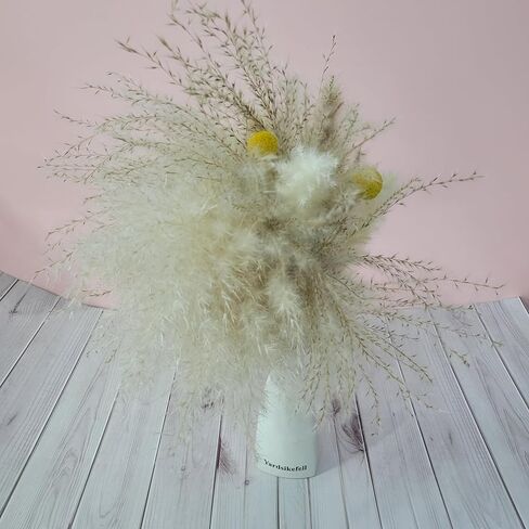 Yardsikefell Dried flower arrangements – Dried Pampas Grass Flower Ornament, Fluffy Bohemian Style Decoration in Saudi Arabia