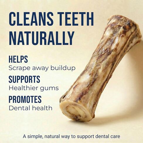 K9warehouse USA عظام النخاع للكلاب - علاجات طبيعية بالكامل للكلاب بنخاع عظم البقر مقاس 5-6 بوصات - عظام طويلة الأمد للمضغ العدواني - مضغ عالي البروتين للسلالات الصغيرة والمتوسطة والكبيرة والكبيرة جدًا in Kuwait
