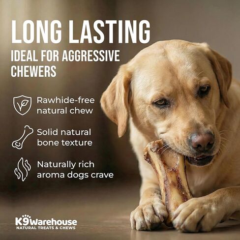 K9warehouse USA عظام النخاع للكلاب - علاجات طبيعية بالكامل للكلاب بنخاع عظم البقر مقاس 5-6 بوصات - عظام طويلة الأمد للمضغ العدواني - مضغ عالي البروتين للسلالات الصغيرة والمتوسطة والكبيرة والكبيرة جدًا in Kuwait