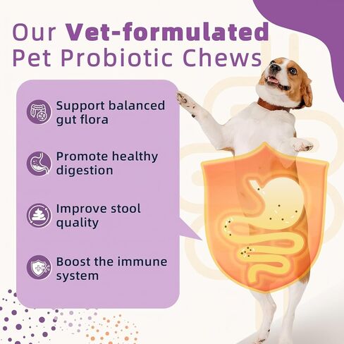 ZEBORA Probiotics for Dogs, Dog Probiotics for Digestive Health, with Pumpkin, Digestive Enzymes, Omega-3, Support Gut, Immune Health, Upset Stomach Relief, Occasional Diarrhea, 120 Freeze Dried Chews in Saudi Arabia