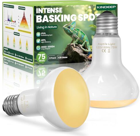 KINDEEP Infrared Heat Lamp Bulbs: 100W Reptile Heat Light 2 Pack - Red Basking Spot Light Bulbs Reptile Heating lamp for Lizard Bearded Dragon Turtle Snake Leopard Gecko Tortoise Chickens in Saudi Arabia