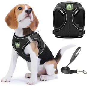 Step in Dog Harness with Leash Set, Adjustable Soft Padded and Breathable Mesh for Small Sized Dog, Reflective No Pull No Choke Cat Vest Harness, Easy Control Pet Vest, Teal S in Saudi Arabia