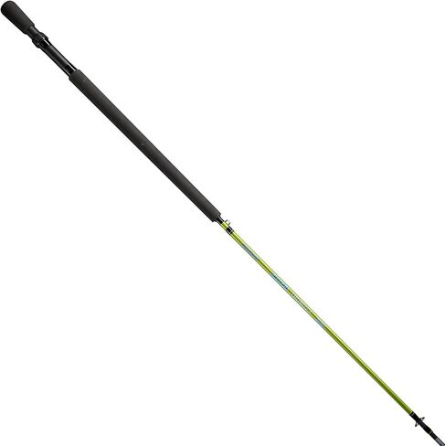 قضيب القفز Crappie Thunder من Lew، صنارة صيد بطول 10 أقدام مكونة من قطعتين، قوة خفيفة، حركة سريعة، قطعتين من الجرافيت الفارغ، مقبض من إسفنج EVA، لون Crappie Thunder Green in Saudi Arabia
