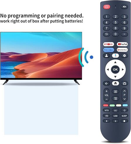جهاز التحكم عن بعد لاستبدال الصوت لتلفزيون FPD Canvas Series 4K UHD LED CG50-C3 CG55-C1 CG65-C3 CG75-C3 CG43-C3 مع Google الذكي in Kuwait