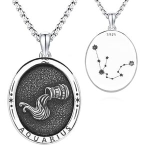 DOTBJ 925 Sterling Silver Zodiac Necklace for Men，Dainty 12 Constellation Pendant Astrology Jewlery Gfit for Men Women.