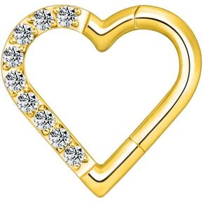 16G G23 التيتانيوم Daith ثقب المجوهرات تشيكوسلوفاكيا القلب Daith أقراط الأنف الدائري 8mm الغضروف الزنمة اللولب ثقب الفضة الذهب هيبوالرجينيك هيئة ثقب المجوهرات للنساء الفتيات الرجال