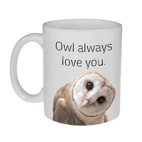 Owl Always Love You Funny Coffee or Tea Mug