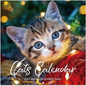 2025-2026 Calendar - Wall Calendar 2025-2026, Jul. 2025 - Dec. 2026, 12" x 24" 2025-2026 wall Calendar (open), Calendars with Unruled Blocks, Thick Paper - Cutie Cat