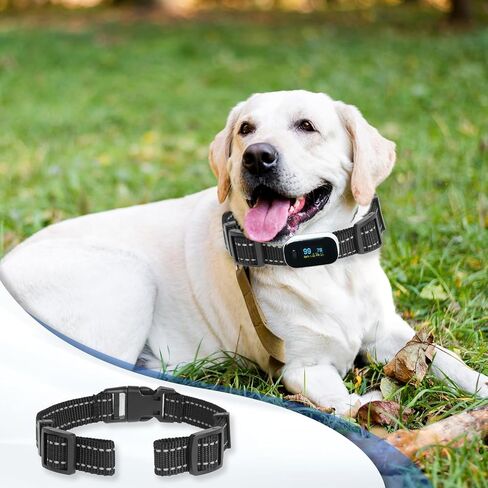 Reflective Collar Replacement Strap, Dog GPS Training Bark Receiver Collars, Heavy Duty Replacement Collar for Shock Training, E Collar Straps for Small Medium Large Dogs (2.5 cm Wide) in Saudi Arabia