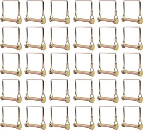 AuInn 1/4 بوصة × 2-1/4 بوصة رمح قفل دبوس سلك قفل دبوس جرار عقبة دبوس تشكيلة (30) in Kuwait