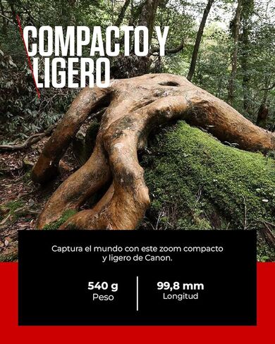 Canon RF 14-35mm F4L IS USM - عدسة تكبير مدمجة فائقة الاتساع لكاميرات نظام Canon R، مثالية للمناظر الطبيعية والهندسة المعمارية. in Saudi Arabia
