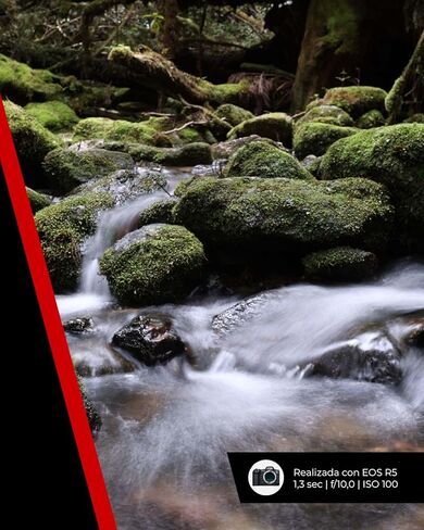 Canon RF 14-35mm F4L IS USM - عدسة تكبير مدمجة فائقة الاتساع لكاميرات نظام Canon R، مثالية للمناظر الطبيعية والهندسة المعمارية. in Saudi Arabia