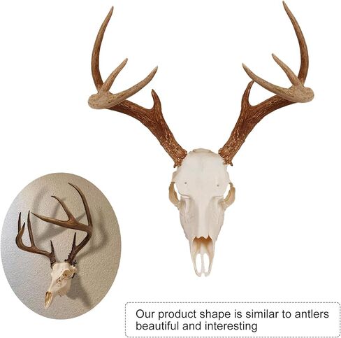 12 PCS Mount Skull Hangers, Deer Skull Mount Hanger Kit, Euro Mount Wall Hooker Heavy-Duty Skull Hanger for Wall Display Hanging Mounting Deer Antler Style for Indoor and Outdoor Walls in Saudi Arabia