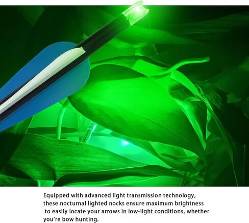 18 قطعة Nocks مضاءة لسهام القوس والنشاب بقطر داخلي .252 .285 .297 .300 .305 ، نقرات أسهم Led عالية الوضوح ، نقرات مضيئة على شكل نصف قمر لصيد الرماية. in Kuwait
