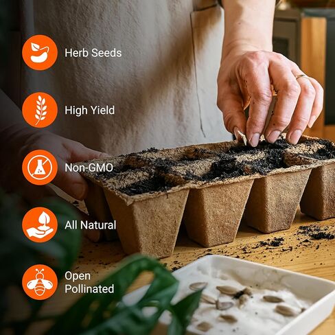 Open Seed Vault 15,000 Heirloom Seeds Non GMO Organic for Planting Vegetables & Fruits (32 Variety Pack) - Survival Gear Food, Gardening Gifts, Emergency Supplies - Premium Quality, High Yield Produce in Saudi Arabia