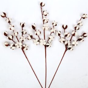 حزمة مثالية مكونة من 6 سيقان قطنية - طول 31 بوصة - 12 كرة قطنية لكل جذع ساق قطنية مرنة حقيقية زهور ريفية لديكور المنزل قطعة مركزية لحفلات الزفاف على طراز المزرعة in Kuwait