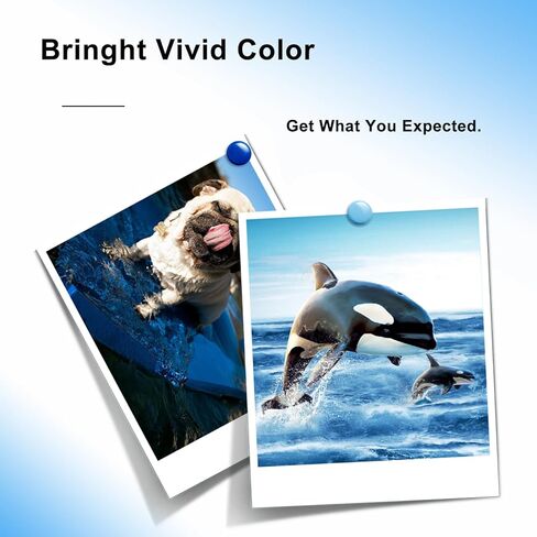 خراطيش حبر سوداء GoToners LC401XL متوافقة مع خرطوشة حبر Brother LC401 XL السوداء لطابعة Brother MFC-J1010DW MFC-J1012DW MFC-J1170DW (عبوتان) in Kuwait