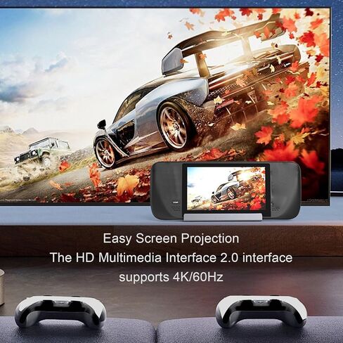 Zopsc 6 in 1 Dock for Ally Game Console, Docking Station for Deck, 100W PD 4K 60Hz, 4K 60Hz HDMI 2.0, 3 USB A 3.0, RJ45 Gigabit Ethernet Port in Saudi Arabia