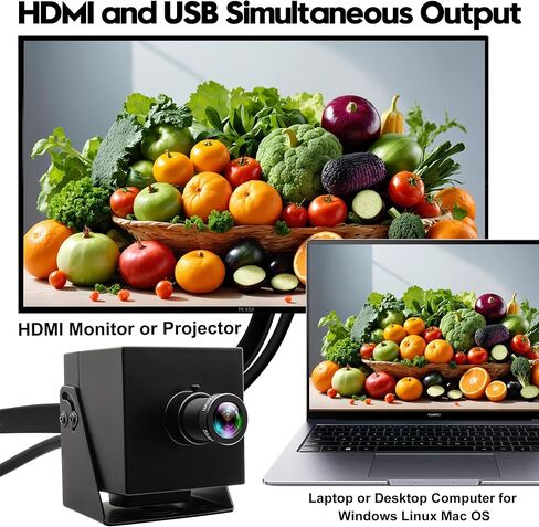 4K HDMI USB3.0 Camera Simultaneous Output 60fps H.264 Webcam with 25° Narrow Angle Lens, 2X Digital Zoom Plug and Play for Video Conference Industrial TV in Saudi Arabia
