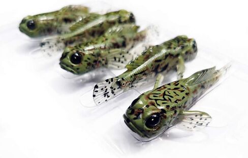 5 Pcs CYCEARTH 75mm Goby Soft Lure Baits Fishing Lures 3 inch 9.3g Bass Fish Finest Detailed PVC Plastic Swimbaits in Saudi Arabia