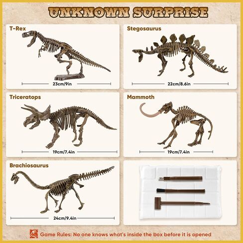 VIBIRIT Dig Up Dinosaurs Skeleton Set,Dinosaur Digging Fossil Kit Model Toys,Excavation Kits for kids5-12year,Educational Realistic Toys for Kids,Boys,Girls in Saudi Arabia