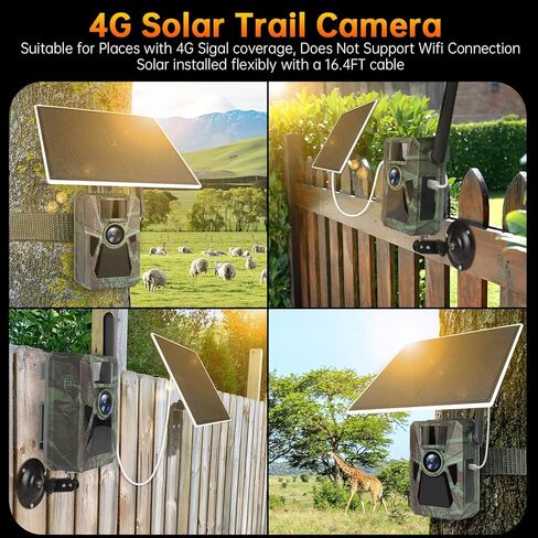 كاميرا خلوية تعمل بالطاقة الشمسية 4G - 4K 48 ميجابكسل، بطارية مدمجة 7500 مللي أمبير في الساعة، اتصال تلقائي على مستوى البلاد، رؤية ليلية، كاميرا ألعاب الصيد للحياة البرية والأمن والمراقبة in Kuwait