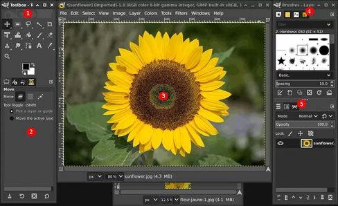 محرر الصور GIMP 2025 USB - متوافق مع نظام التشغيل Windows - برنامج تحرير الصور الكامل - بديل مفتوح المصدر لبرنامج Photoshop - يتضمن دليل PDF in Kuwait
