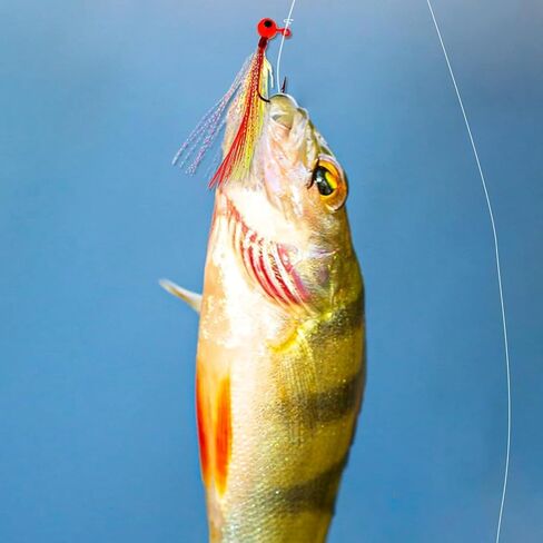 10pcs Fishing Jigs Crappie Jig Head Fishing Lures Hook Jigs Kit with Feather Fly Fishing Hand Tied Marabou Jig for Crappie Trout Walleye Panfish in Saudi Arabia
