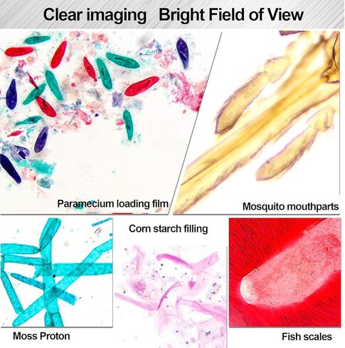 Pilipane 2X Achromatic Microscope Objective Lens with RMS Thread, Clear Imaging for Biological Microscope in Saudi Arabia