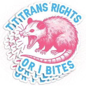 (3 قطع) ملصق Trans Right Or I Bites ملصق Possum ملصق نسوي ليبرالي LGBTQ مضحك Queer 2 بوصة مقاوم للماء من الفينيل المقطوع بالقالب، ملصقات زجاجة مياه مضحكة لهدايا السيارات له 2 بوصة in Kuwait