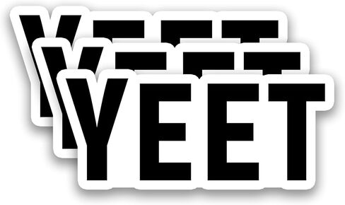 (3Pcs) YEET Meme Stickers Funny Saying Quote Vinyl Sticker for Teens Student Friend, Humorous Waterproof Decals for Laptop, Water Bottle, Phone Case, Helmet, Scrapbook, 3" x 1.3'' in Saudi Arabia