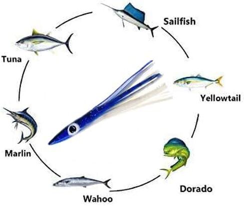 6" Tuna Clone Lures, 6 Pcs Blue/White for Saltwater Fishing, Ideal for Tuna, Mahi‑Mahi, Wahoo & Offshore Game Fish in Saudi Arabia