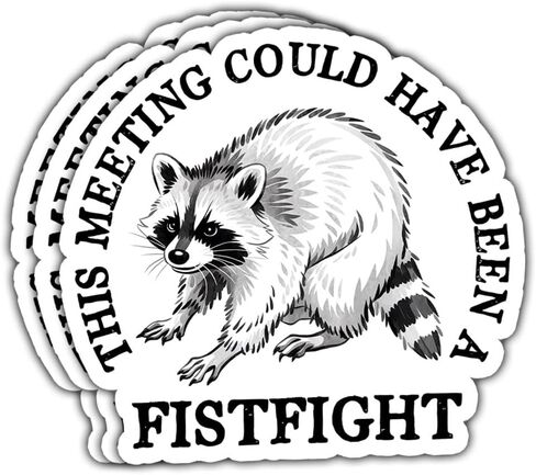 3Pcs This Meeting Could Have Been A Fistfight Sticker Mental Health Raccoon Gift This Meeting Could Have Been A Fistfight Raccoon Stickers Car Decal for Laptop Water Bottle Toolbox Case (F1, 3") in Saudi Arabia