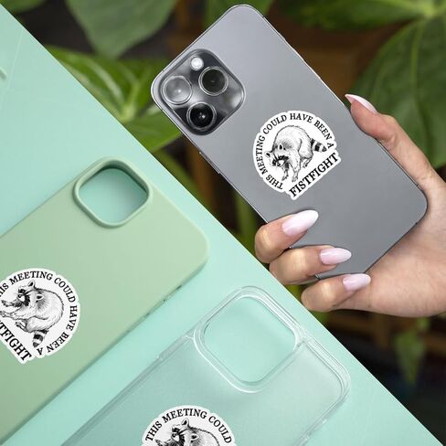 3Pcs This Meeting Could Have Been A Fistfight Sticker Mental Health Raccoon Gift This Meeting Could Have Been A Fistfight Raccoon Stickers Car Decal for Laptop Water Bottle Toolbox Case (F1, 3") in Saudi Arabia